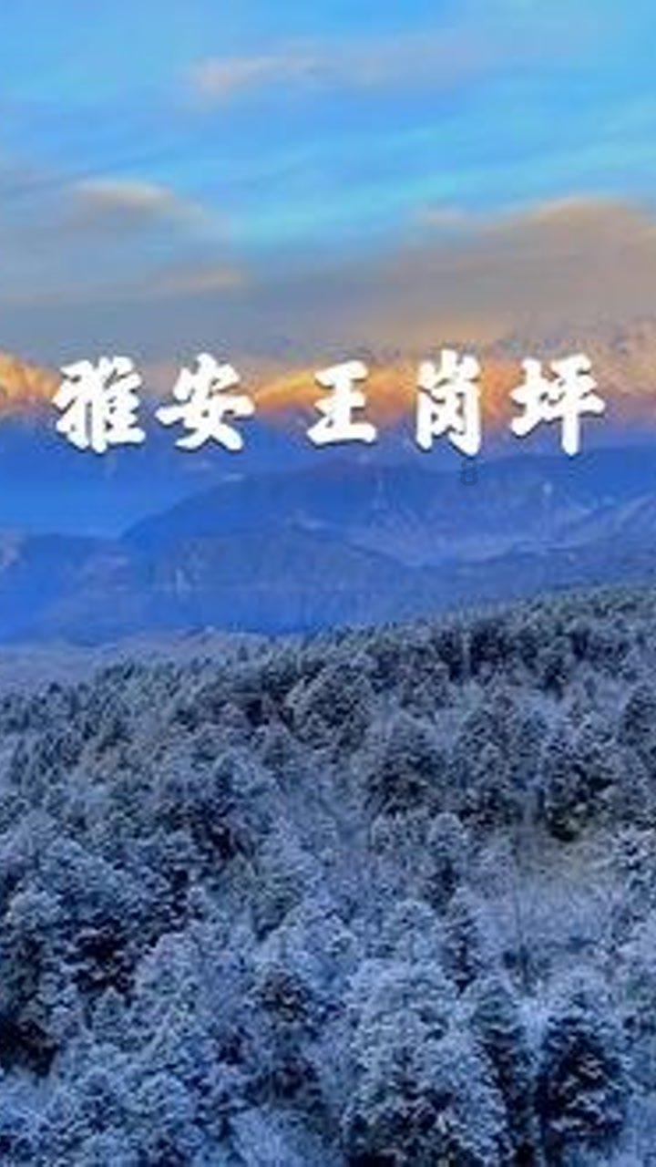 关于船的记忆